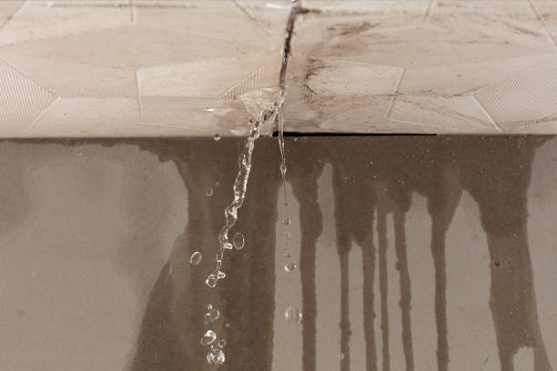 Professional Burst Pipe Cleanup technician working in Orland, CA